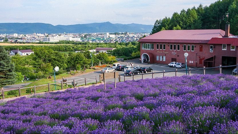 🍷 후라노 와이너리 (후라노시 포도 과수 연구소) 이미지 1